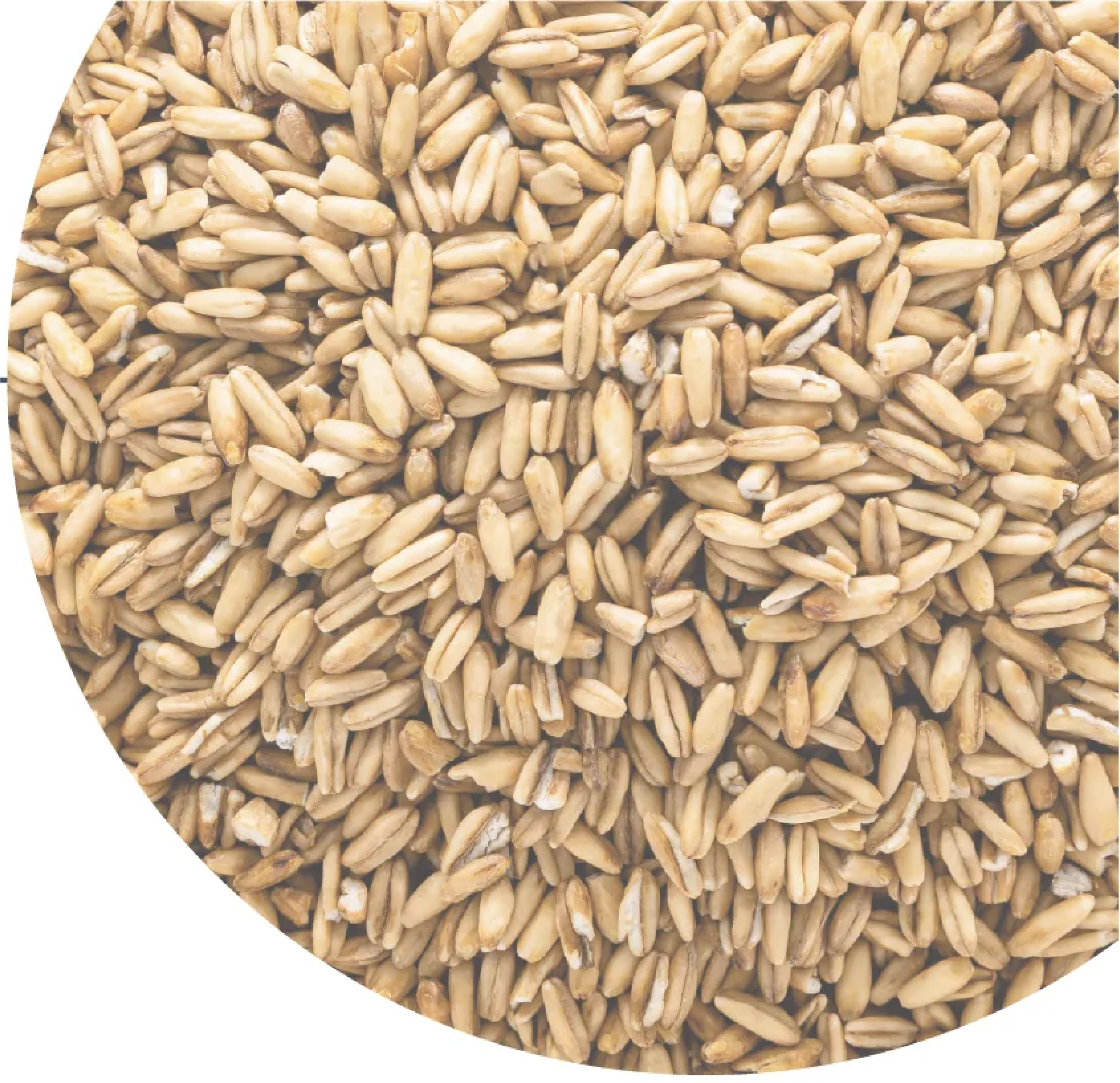 Beta Glucan