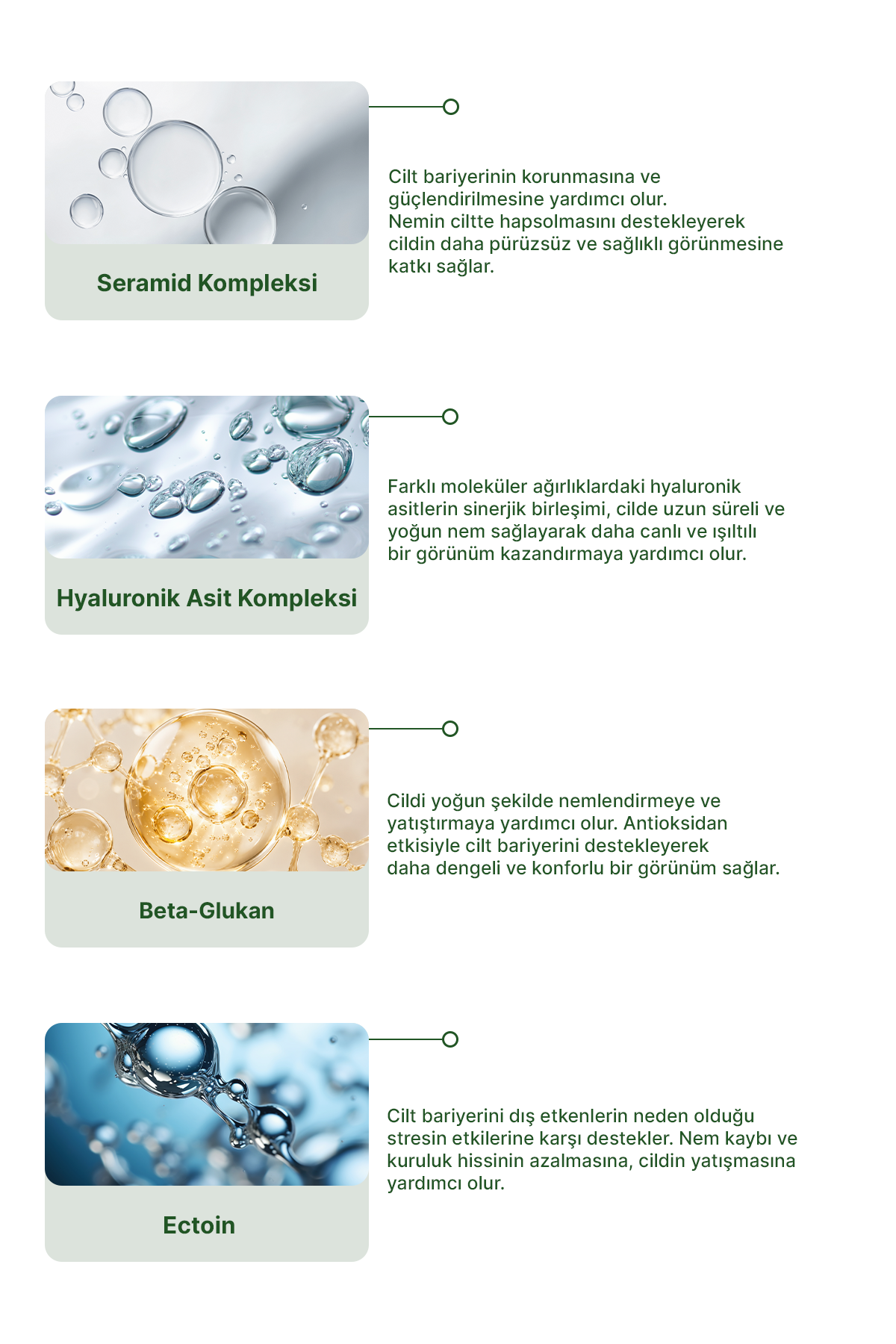 Face Mist Therapy