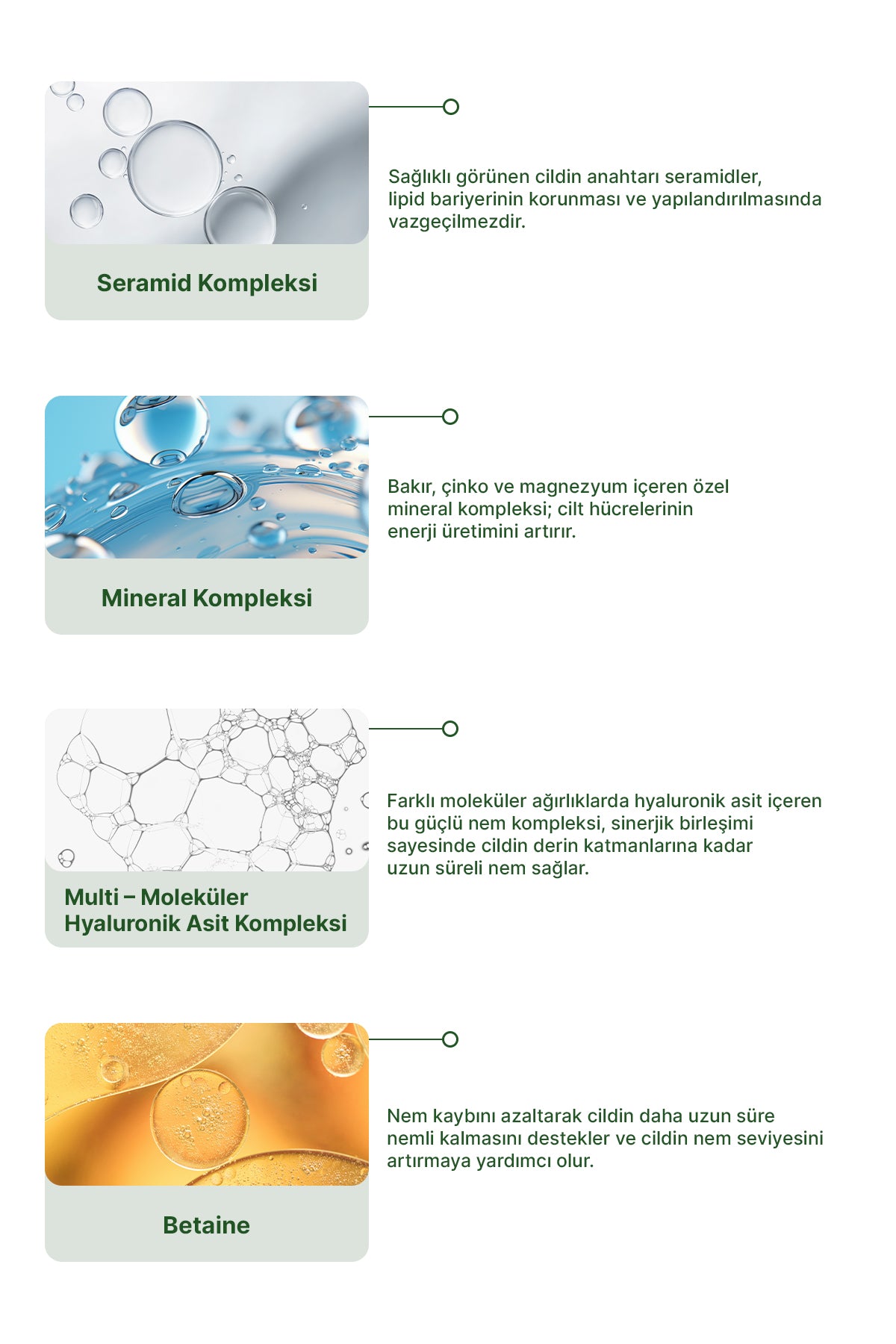 Skin Reset & Barrier Boost Mask (Tekli)