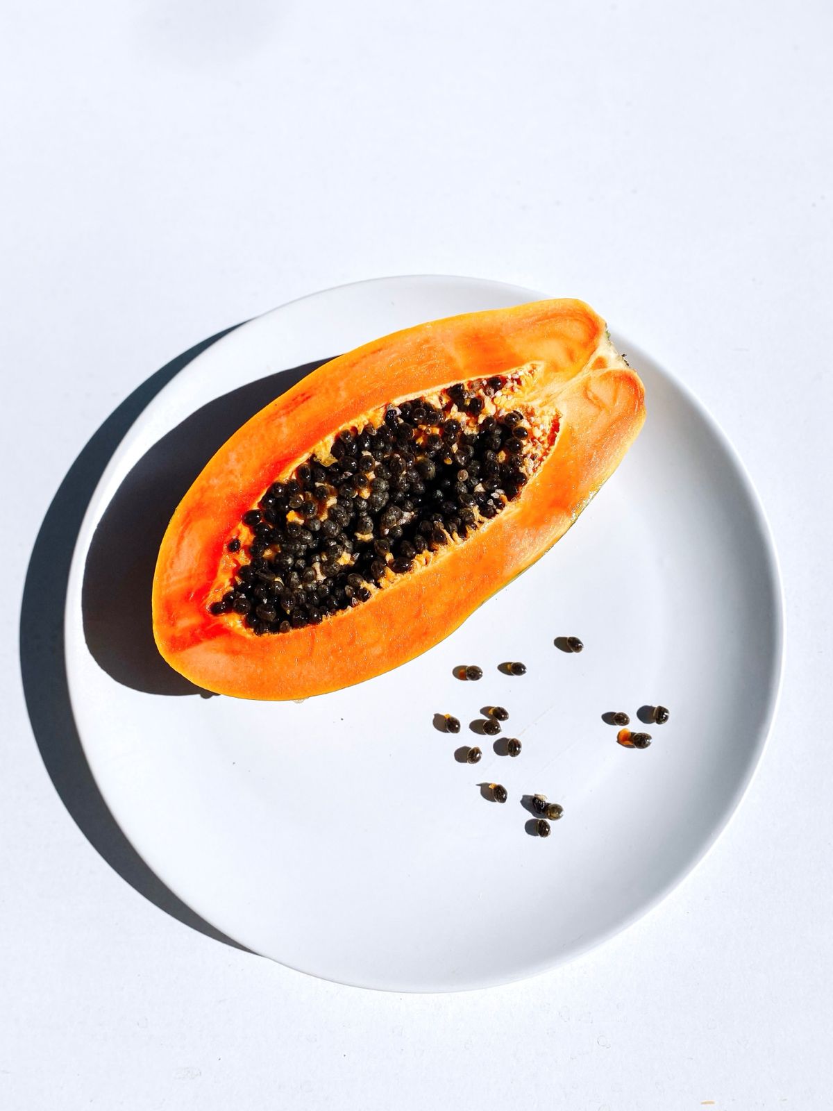 Papaya Enzimi